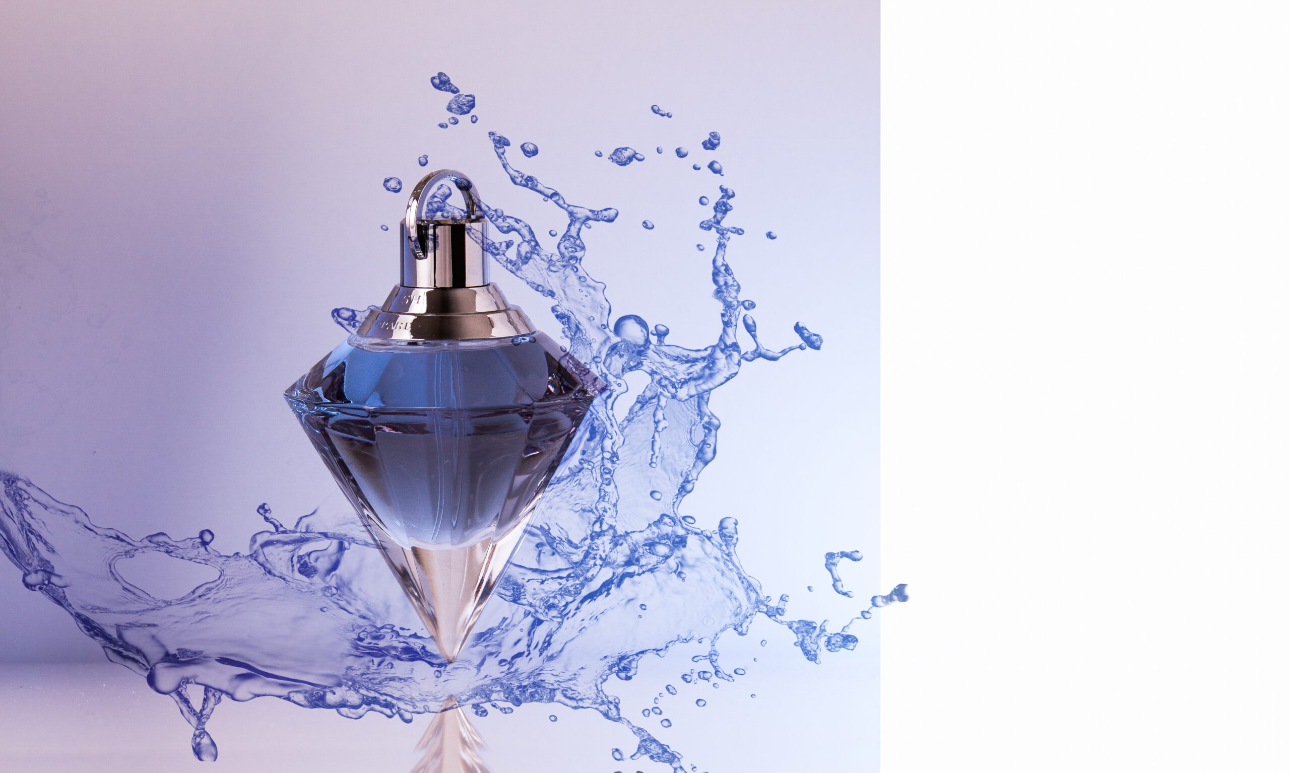 sponchia perfume 3275960